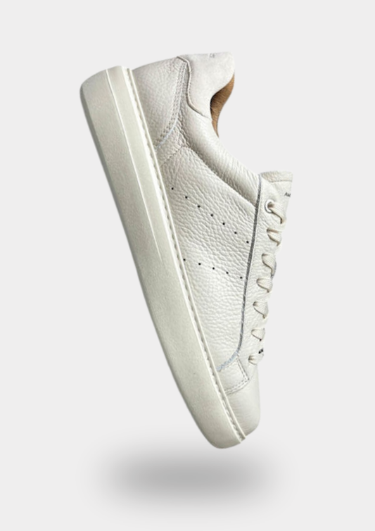 Ambitious Shoes | Phoenix Leather Low-Top Sneakers — Off White (14256-7333AM)
