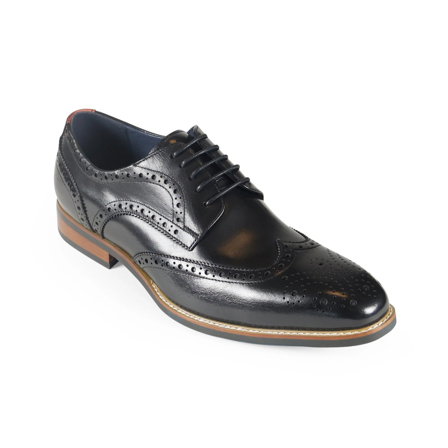 Azor - Venezia Brogue | Black - ZM3848