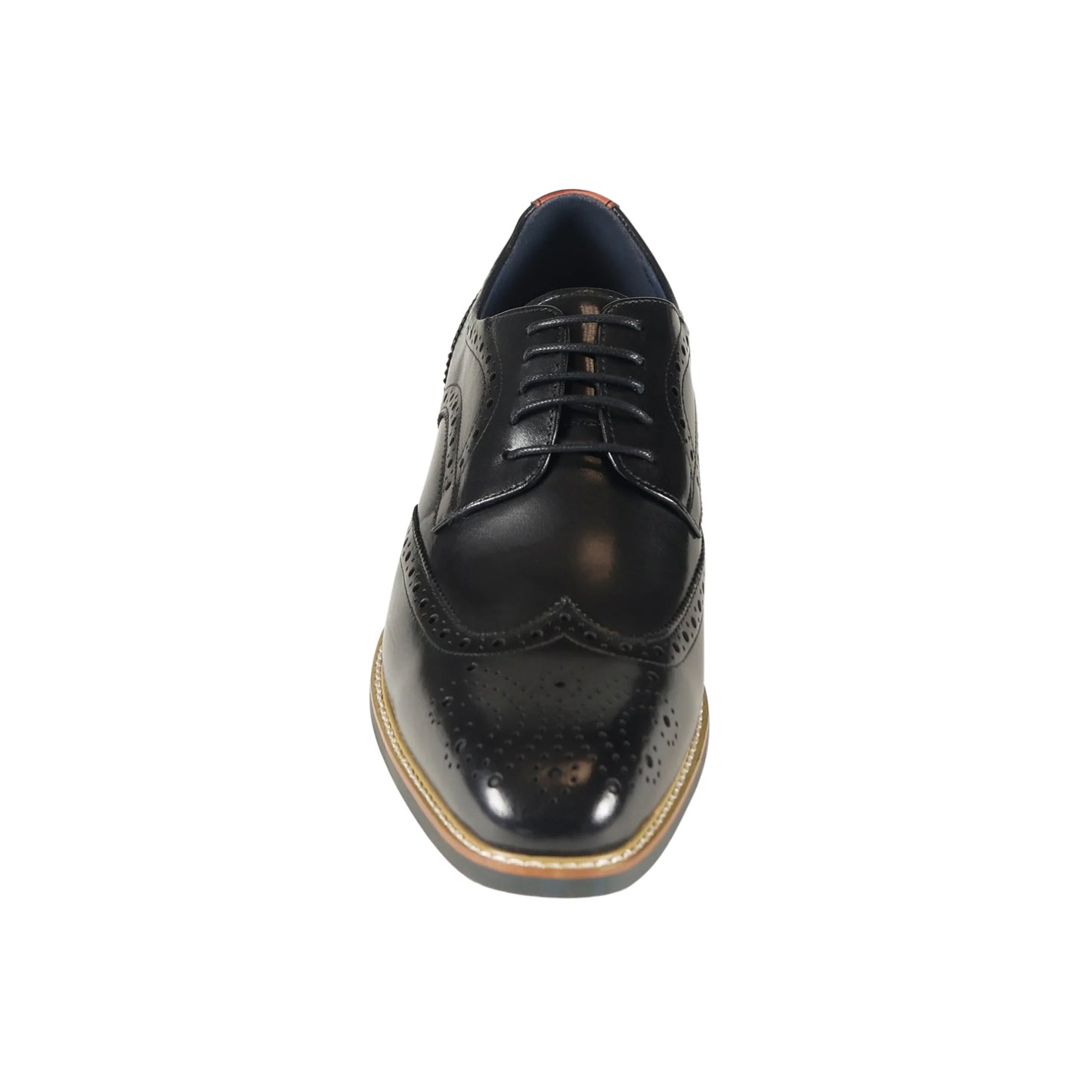 Azor - Venezia Brogue | Black - ZM3848