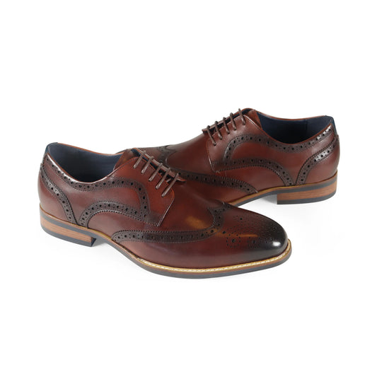 Azor - Venezia Brogue | Brown - ZM3850