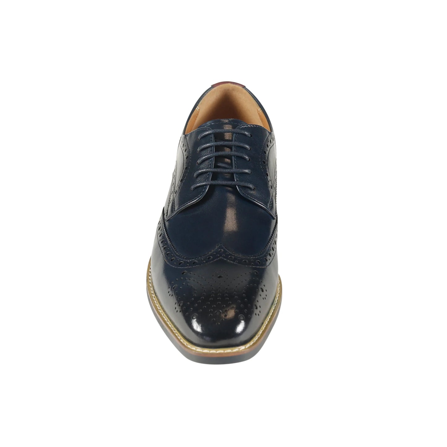 Azor - Venezia Brogue | Navy - ZM3849