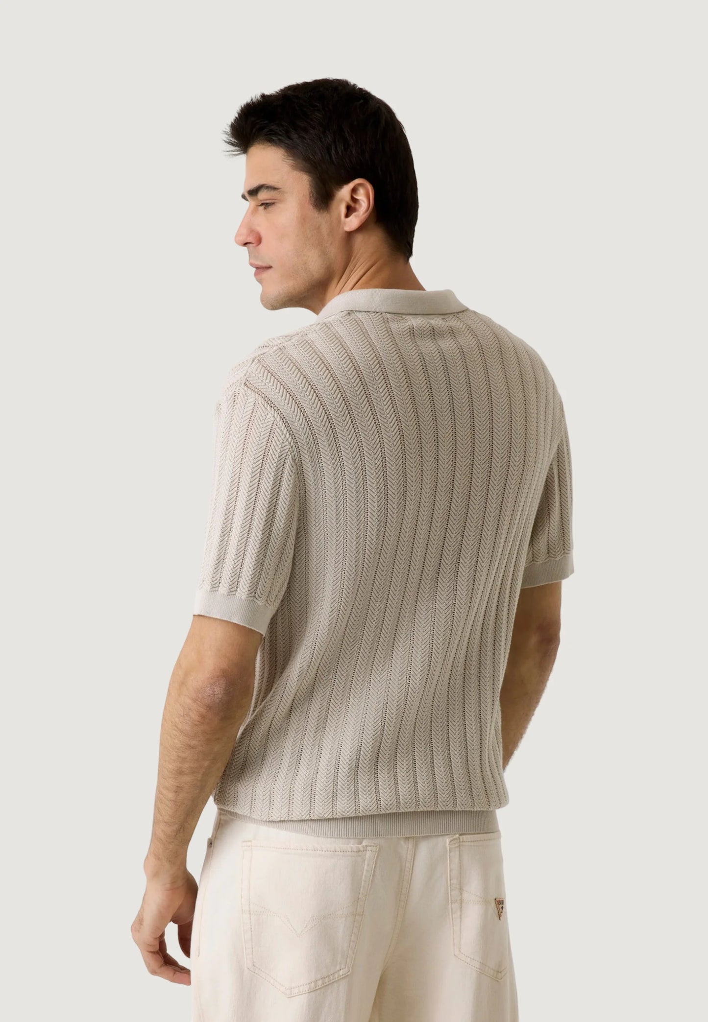 Guess Lonny Lonny Polo SS Harringbone Knit Polo shirt | Beige-Chiaro- M6GR05 Z0558